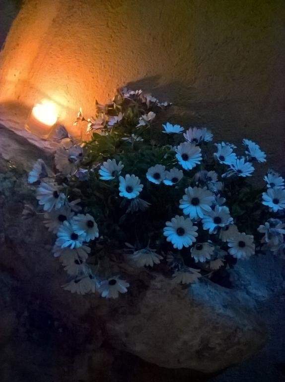Bed & Breakfast Secret Trapani